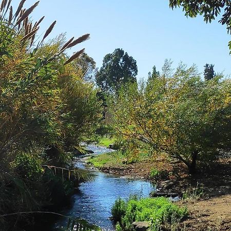 Villa By The River Facing The Hermon In Dafna Exteriör bild