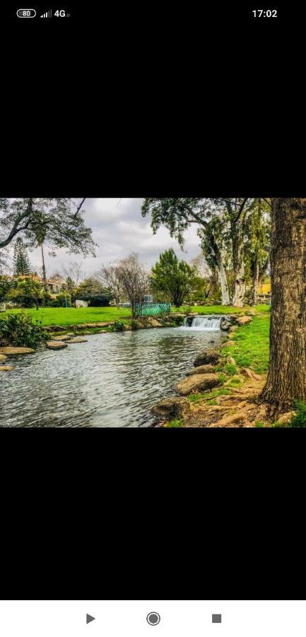 Villa By The River Facing The Hermon In Dafna Exteriör bild