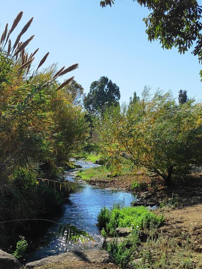 Villa By The River Facing The Hermon In Dafna Exteriör bild